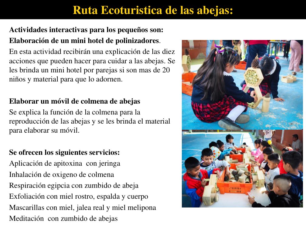Niñas y niños elaborando mini hoteles polinizadores