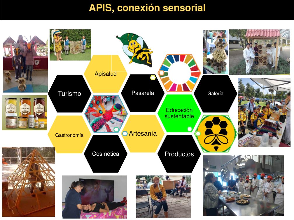 Mosaico de experiencias APIS sobre turismo, gastronomía, artesanía y educación sustentable