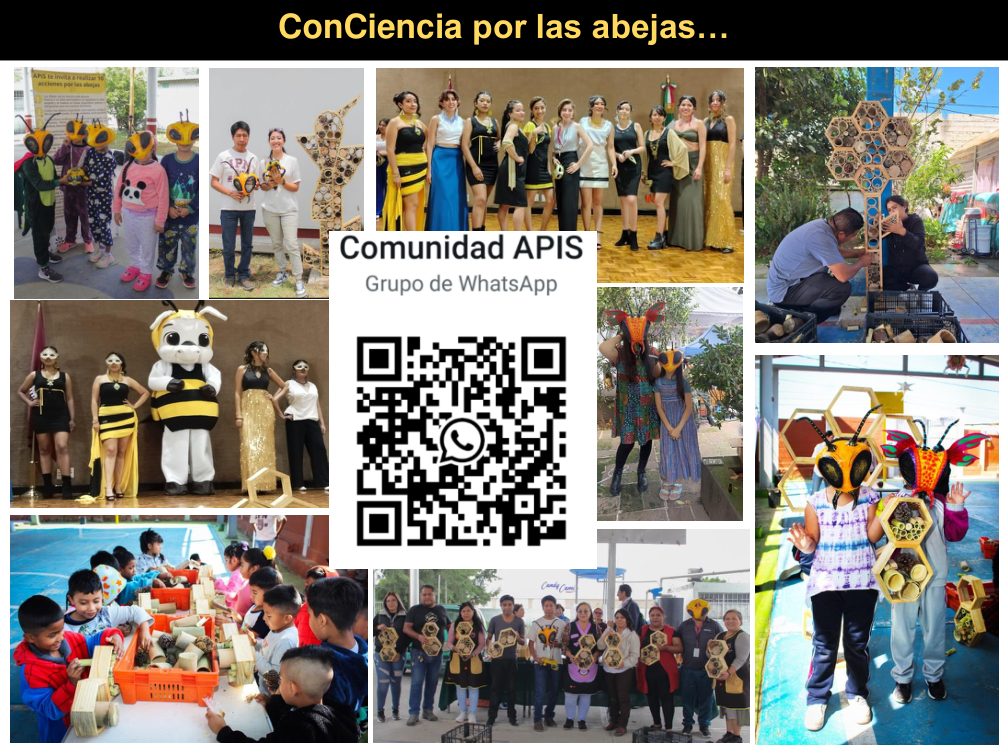 Collage de actividades de la Comunidad APIS con familias, talleres y hoteles polinizadores