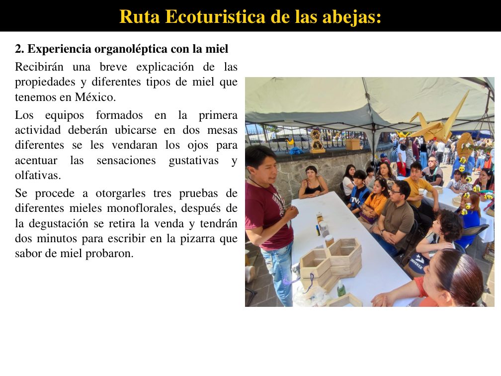 Grupo participando en una experiencia de degustación de miel orofloral